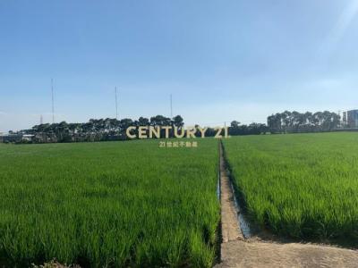 青埔子段, Xinfeng Township, Hsinchu County 304, Taïwan