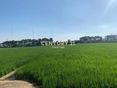 青埔子段, Xinfeng Township, Hsinchu County 304, Taïwan
