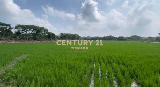 瑞光段, Xinfeng Township, Hsinchu County 304, Taiwan