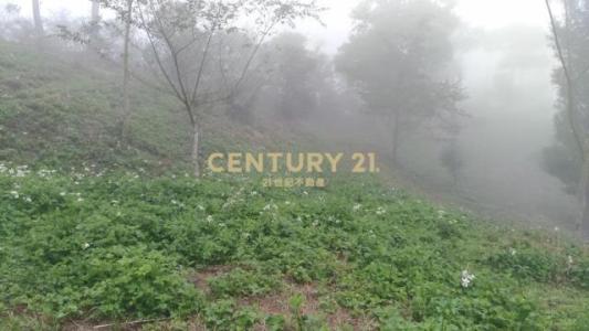 北河段, Gongguan Township, Miaoli County 363, Taiwan