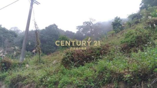 北河段, Gongguan بلدة, مقاطعة مياولي 363, تايوان