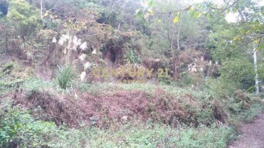 北河段, Gongguan بلدة, مقاطعة مياولي 363, تايوان