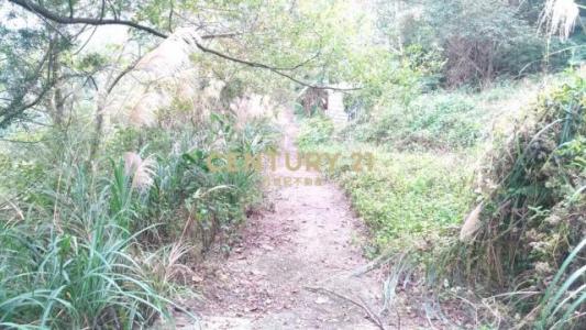 北河段, Gongguan بلدة, مقاطعة مياولي 363, تايوان