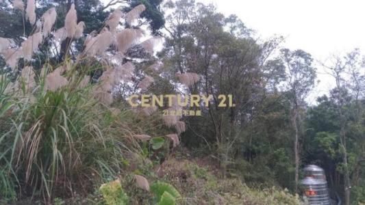 北河段, Gongguan Township, Miaoli County 363, Taiwan