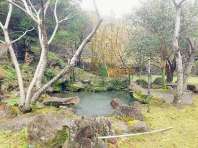 平菁街, Shilin Dist., Taipei City 111, Taiwan