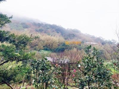 平菁街, Shilin Dist., Taipei City 111, Taiwan