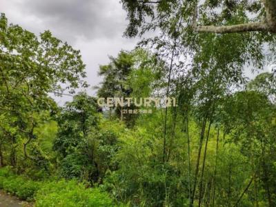 出礦坑段, Гунгуань, Уезд Мяоли 363, Тайвань