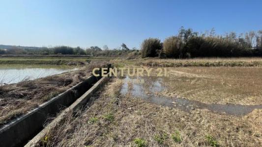 湖鏡段, Hukou Township, Hsinchu County 303, Taiwan