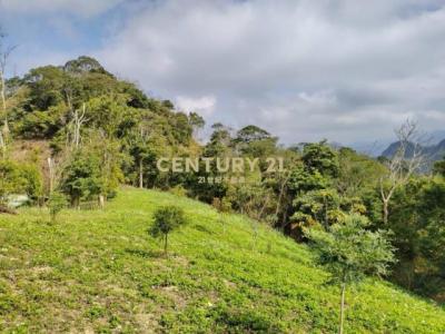 北河段, Gongguan Township, Miaoli County 363, Taiwan