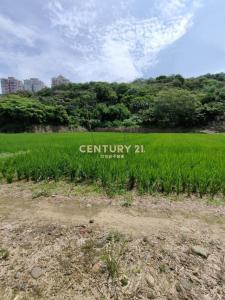 老莊路, 楊梅區, Taoyuan 326, Tajwan