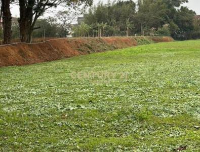 月眉路一段, 中壢區, Taoyuan 320, Taïwan