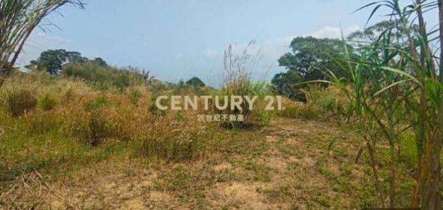 百壽段, Даху, Уезд Мяоли 364, Тайвань