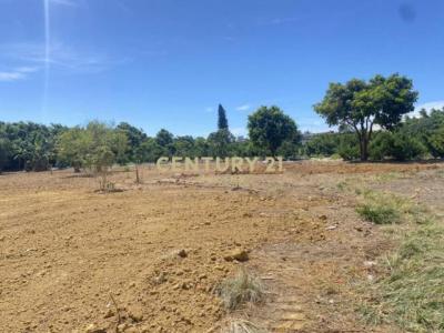 平安段, 平鎮區, Taoyuan City 324, Taiwan