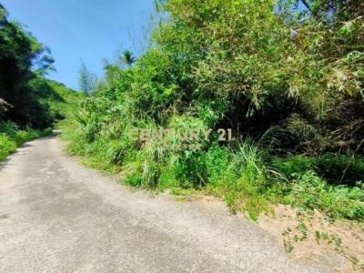 竹森段, Tongluo Township, Miaoli County 366, Taiwan