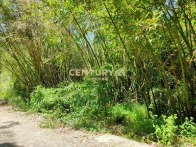 竹森段, Tongluo Township, Miaoli County 366, Taiwan