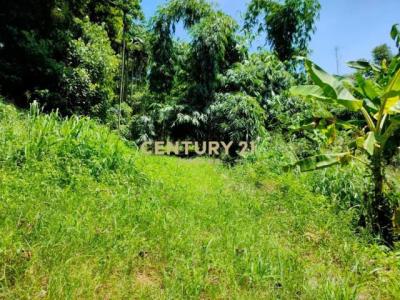 竹森段, Tongluo Township, Miaoli County 366, Taiwan