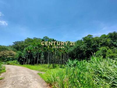 竹森段, Tongluo Township, Miaoli County 366, Taiwan