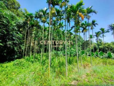 竹森段, Tongluo Township, Miaoli County 366, Taiwan