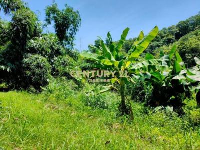 竹森段, Tongluo Township, Miaoli County 366, Taiwan