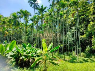 竹森段, Tongluo Township, Miaoli County 366, Taiwan