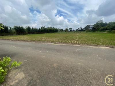 下陰影窩段, 楊梅區, Taoyuan City 326, Taiwan