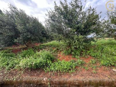 成功段, 龍潭區, Taoyuan 325, Tajwan