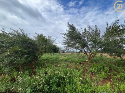 成功段, 龍潭區, Taoyuan 325, Tajwan