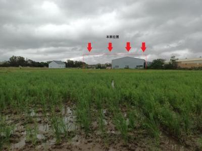 蘆竹街, 蘆竹區, Taoyuan City 338, Taiwan