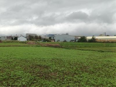 蘆竹街, 蘆竹區, Taoyuan City 338, Taiwan