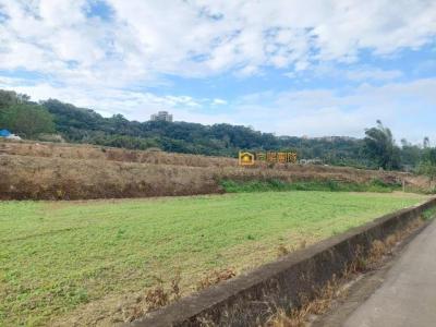 瑞仁路, 大溪區, Taoyuan City 335, Taiwan