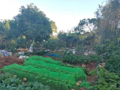 功學社新村, 中壢區, Taoyuan 320, Tayvan