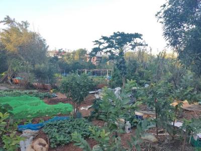 功學社新村, 中壢區, Taoyuan 320, Tayvan