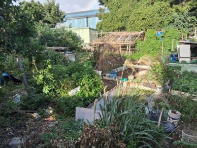 廣豐街, 平鎮區, Taoyuan City 324, Taiwan