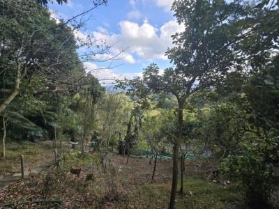 九車籠, Zaoqiao Township, Miaoli County 361, 대만