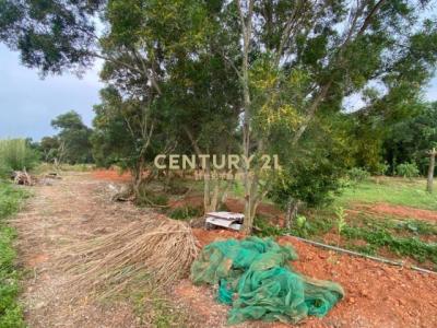 中庸段, 平鎮區, Taoyuan 324, Taiwan