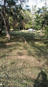 永和山段, 三灣鄉, 苗栗縣 352, 台灣