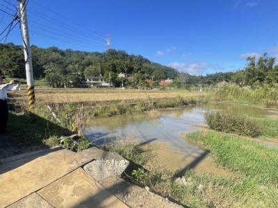 湖肚路, Гуаньси, Уезд Синьчжу 306, Тайвань