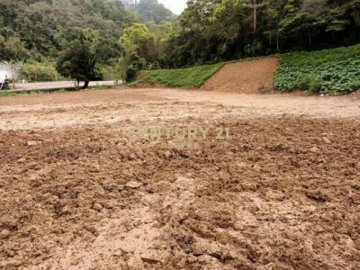 鹿寮坑段, Qionglin Township, Hsinchu County 307, Taiwan