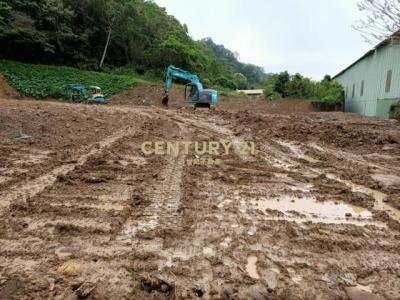 鹿寮坑段, Qionglin Township, Hsinchu County 307, Taiwan