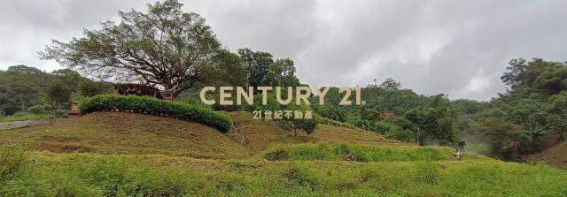 五寮段五寮小段, Sanxia Dist., 新北市 237, 台湾