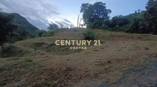 五寮段五寮小段, Sanxia Dist., Nouveau Taipei 237, Taïwan