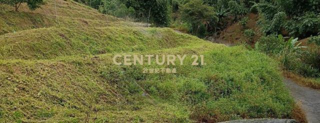 五寮段五寮小段, Sanxia Dist., Nouveau Taipei 237, Taïwan