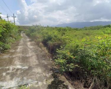 永豐路, Fenglin Township, Hualien County 975, Taiwan