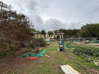 榮興段, 八德區, تاويوان مدينة 334, تايوان