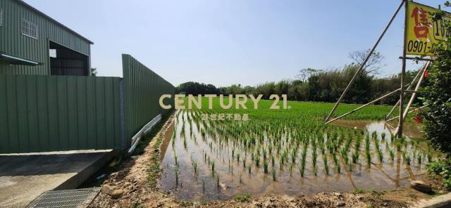 福興段後湖子小段, Xinfeng Township, Hsinchu County 304, Taiwan