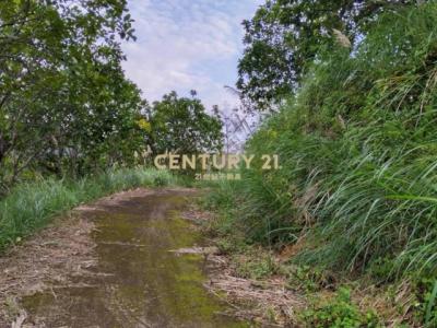 大河底段, 三灣鄉, 苗栗縣 352, 台灣