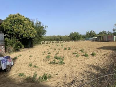 大安段, 八德區, Taoyuan City 334, Taiwan