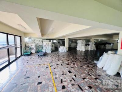 大豐街, 蘆竹區, Taoyuan City 338, Taiwan