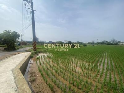 山下段, 中壢區, Taoyuan 320, Taiwán