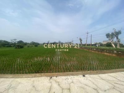 山下段, 中壢區, טאו - יואן העיר 320, טיוואן